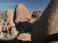 Click to see DSCN7036.JPG